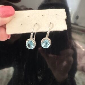 Elegant Silver and Blue Gemstone Earrings